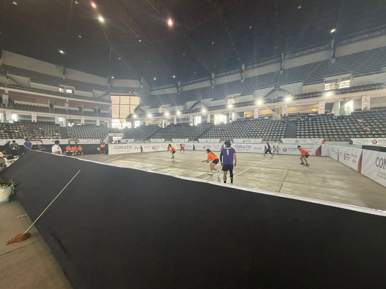 BÉISBOL 5 EN ON 2026 