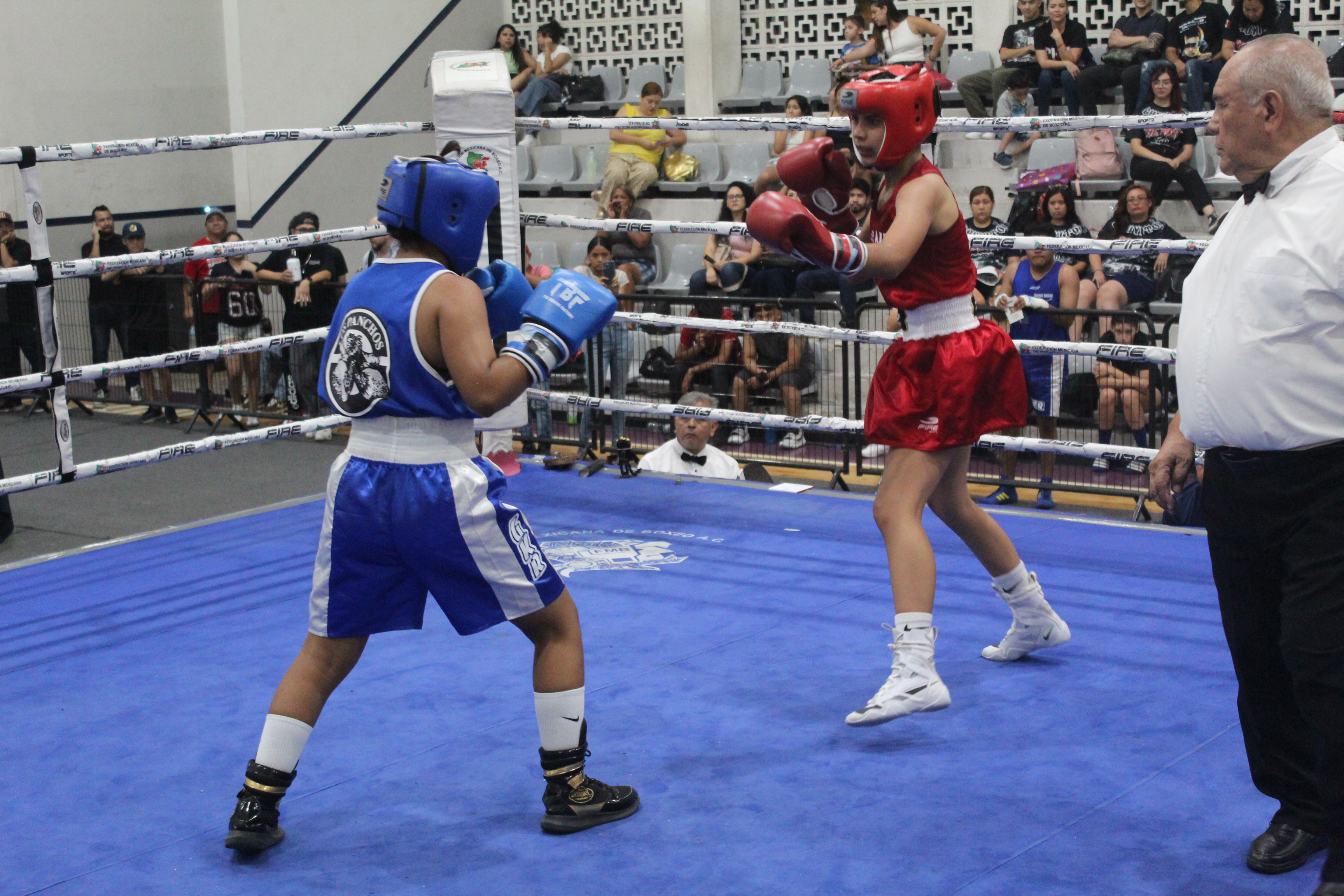 SURGEN CAMPEONES Y CAMPEONAS EN LAS FINALES DEL TORNEO “GUANTES DE ORO NL 2025”