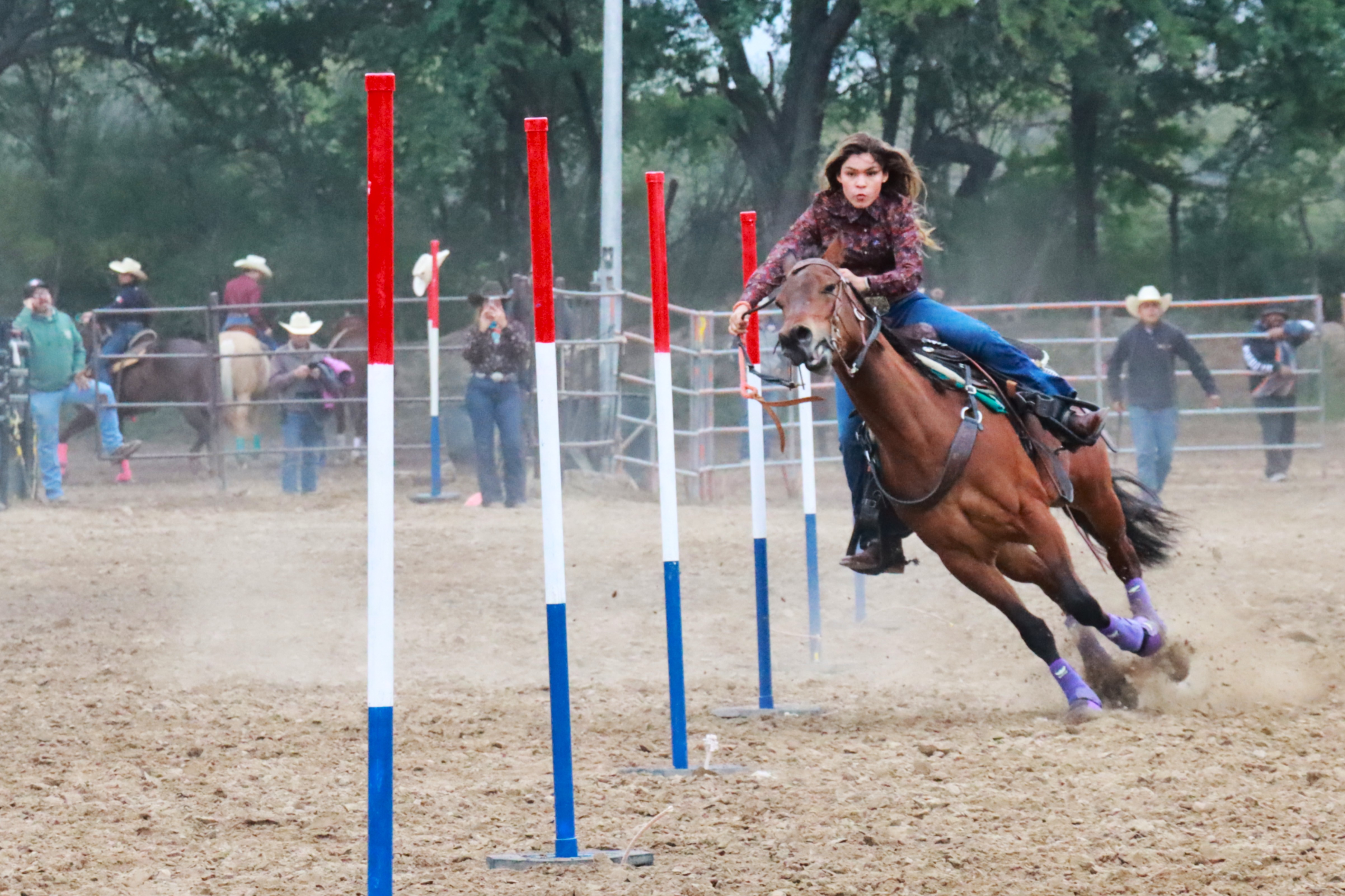 AFRONTAN CON AUDACIA VAQUEROS NEOLEONESES ELIMINATORIA DE RODEO 2026 
